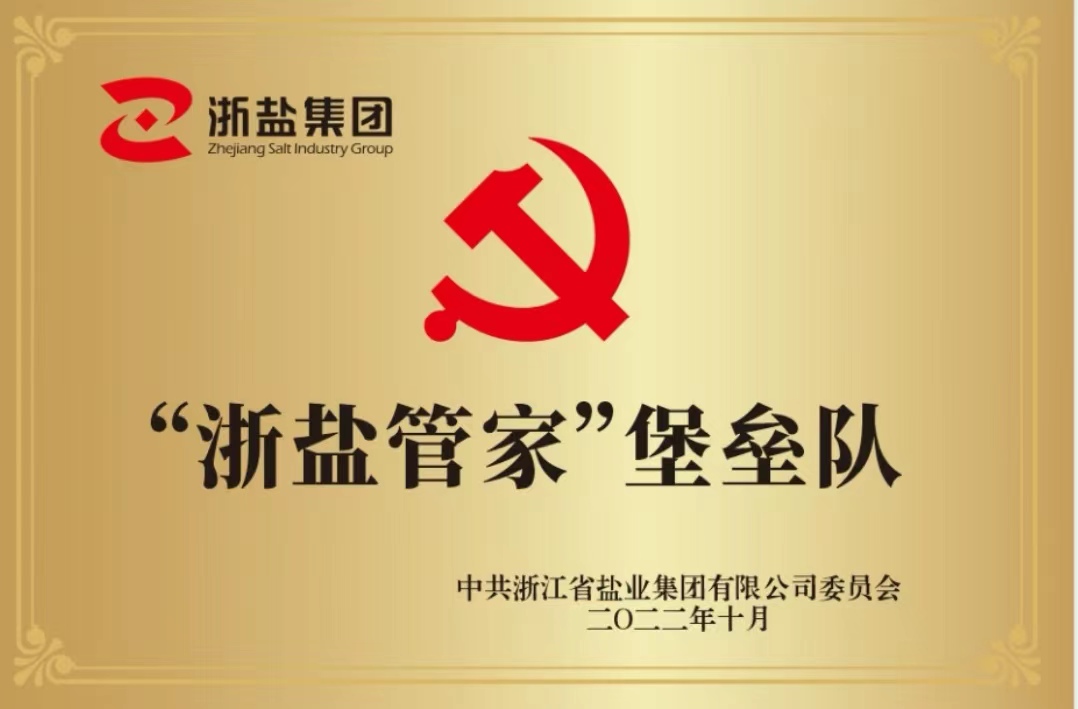 “浙盐管家”堡垒队