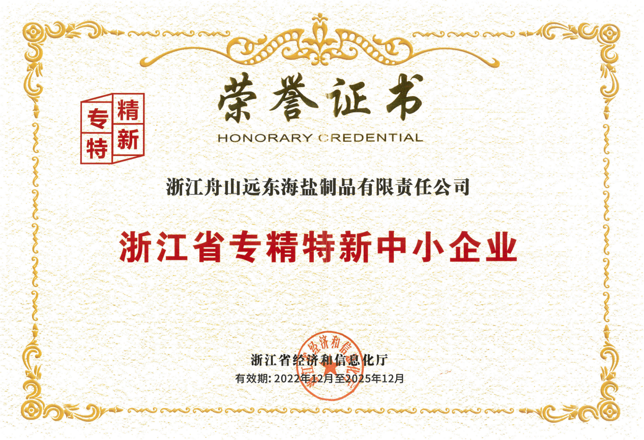 5.远东海盐制品公司浙江省专精特新中小企业证书_00