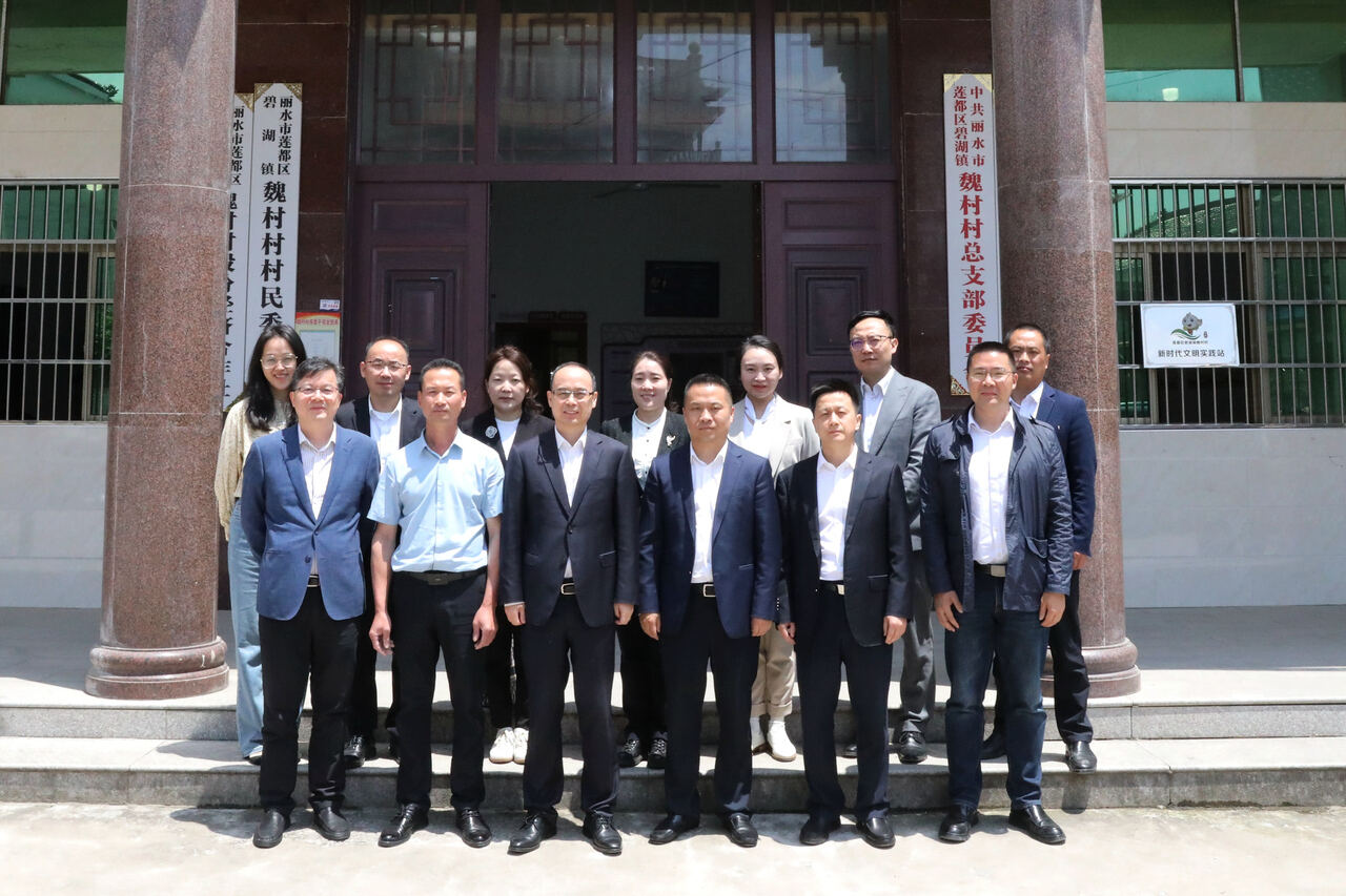 浙资运营党委书记、董事长姜扬剑一行在结对帮扶村丽水市莲都区魏村村开展走访调研.jpg
